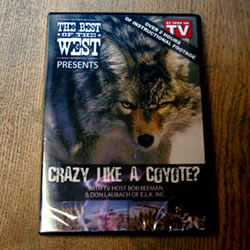 Crazy Like A Coyote? Video 